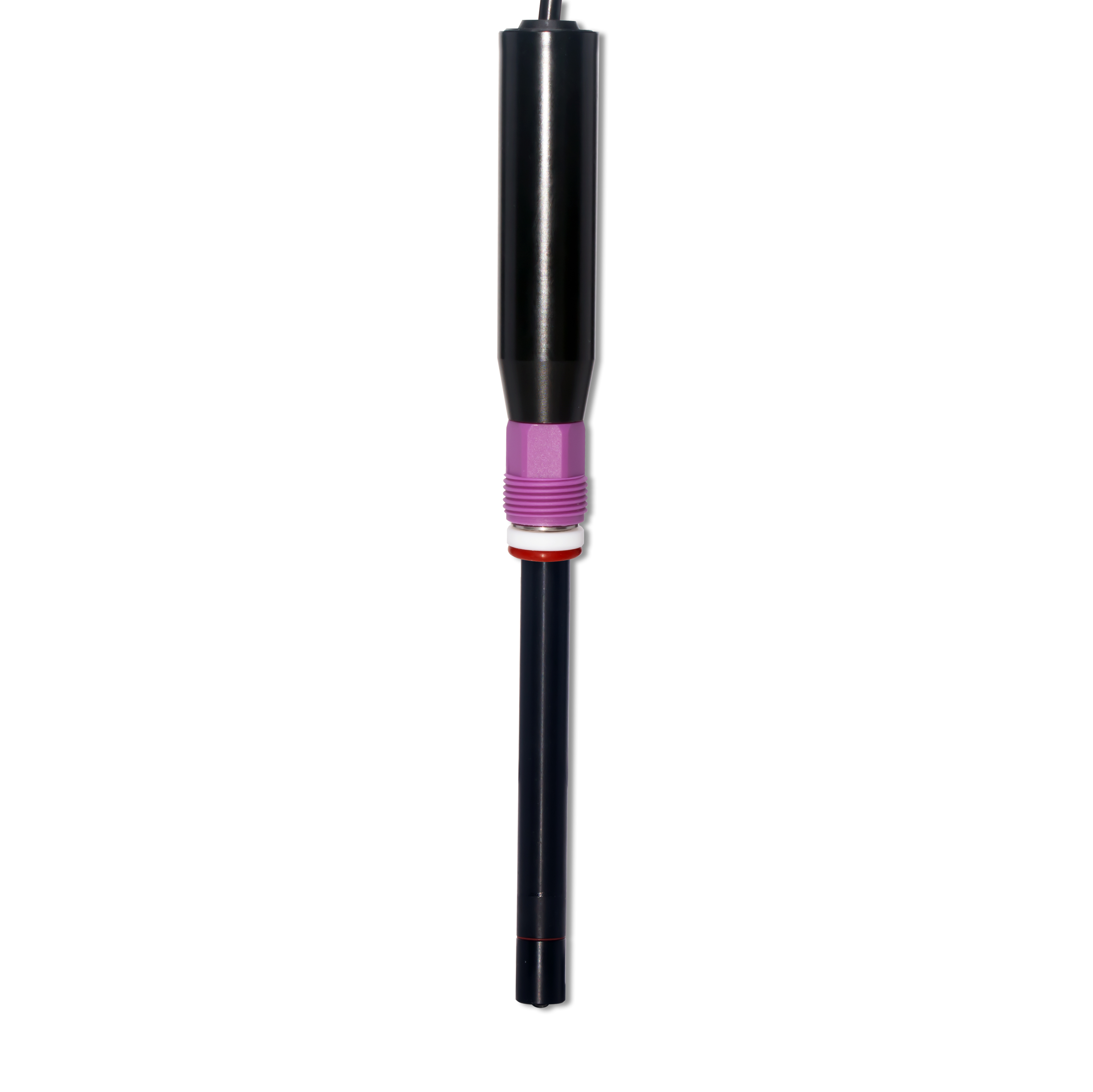 Sensor Potasium CS6512AD Digital Potassium Ion Sensor - 上海淳业仪表科技有限公司